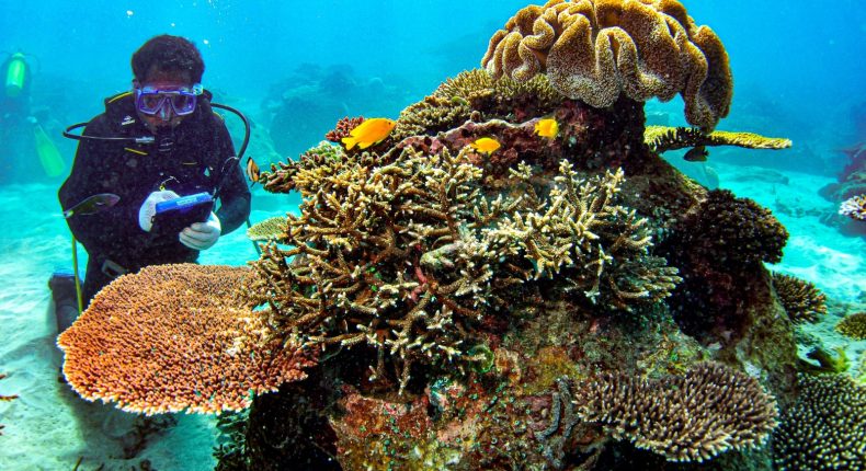 foto slider headline